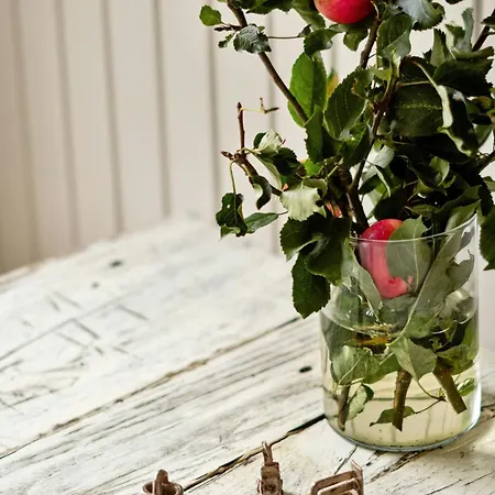 Classic Wooden Near In Hébergement de vacances Hornbæk